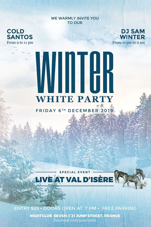 Modern Winter Party Flyer Template