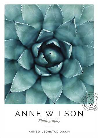 Botanical Postcard Flyer Templates
